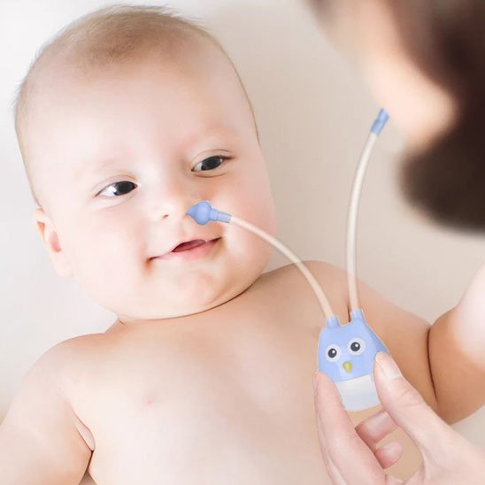 Mouche bébé